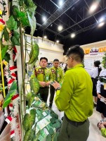 Momen Tim POP-UP RIMBA Saat Presentasi di Hadapan Juri TISIIF 2026